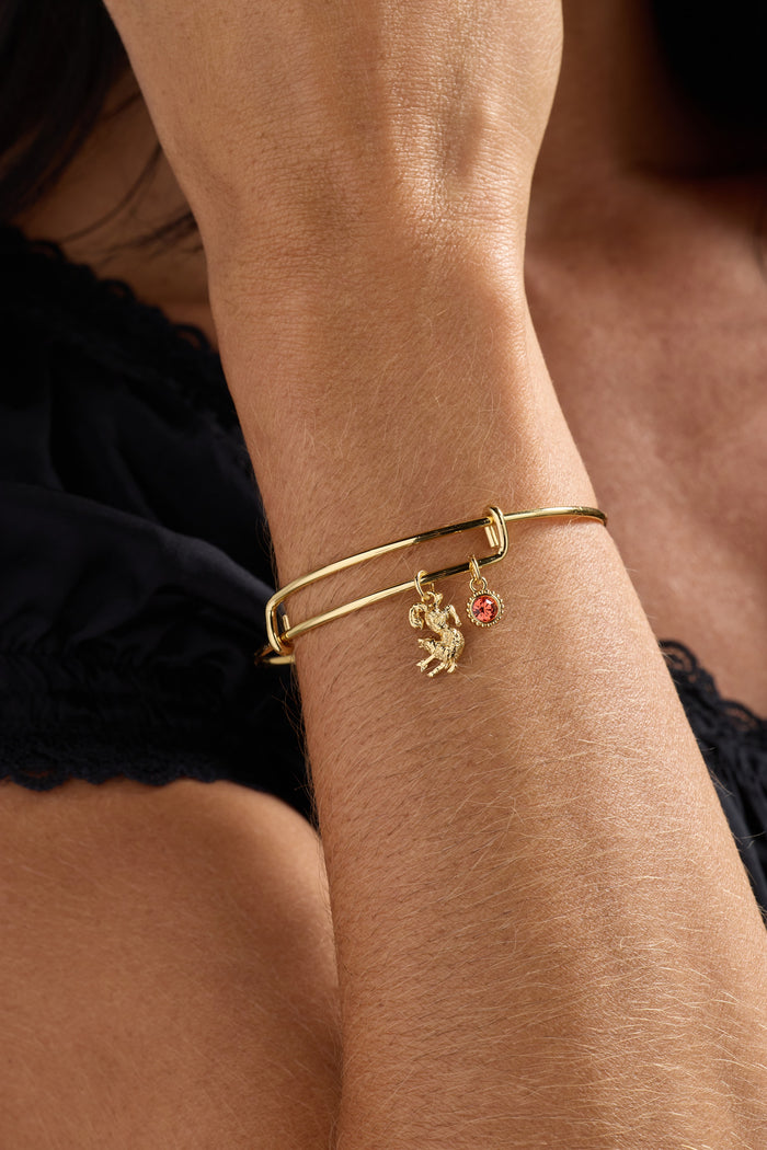A Court of Thorns and Roses Wolf Charm Bangle
