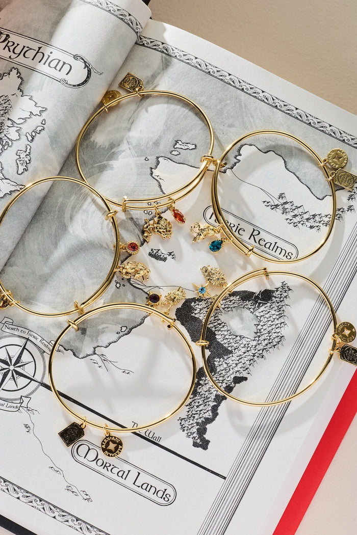 ACOTAR Wings and Ruin Dagger Charm Bangle