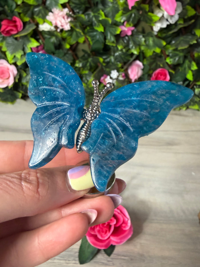 Apatite Butterfly Wings