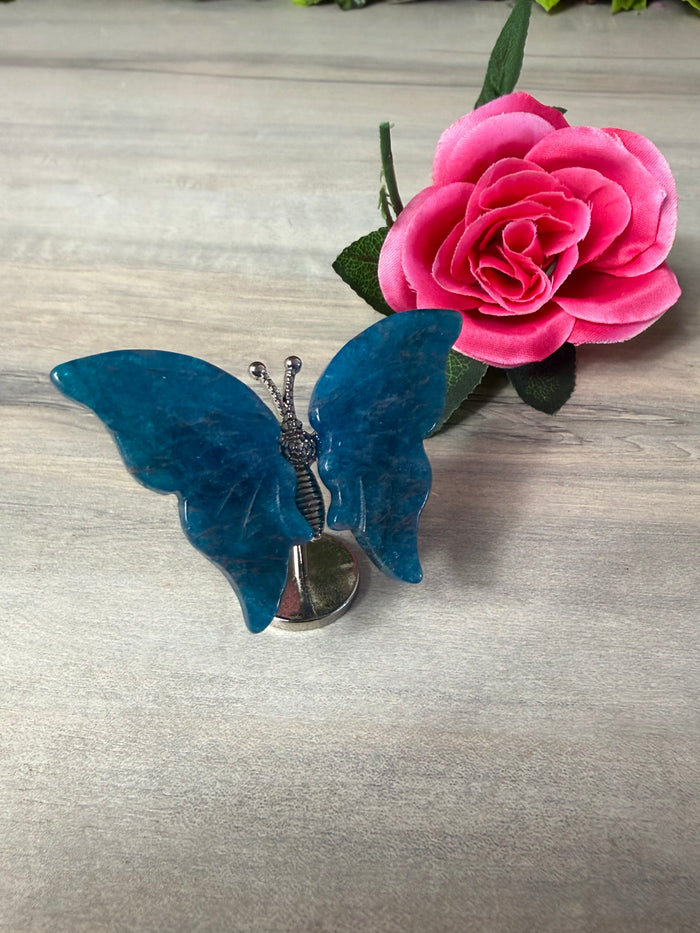 Apatite Butterfly Wings