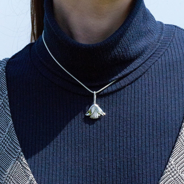 Clematis Bluebird Pendant Catherine Best Dev