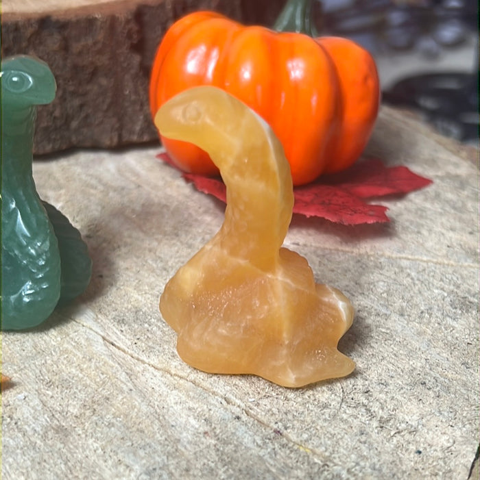 Cobra Snake