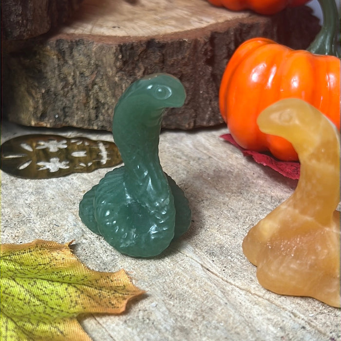 Cobra Snake
