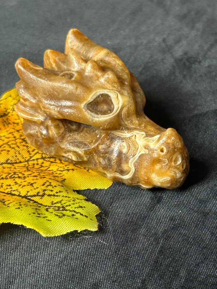 Honey amber Calcite Dragon