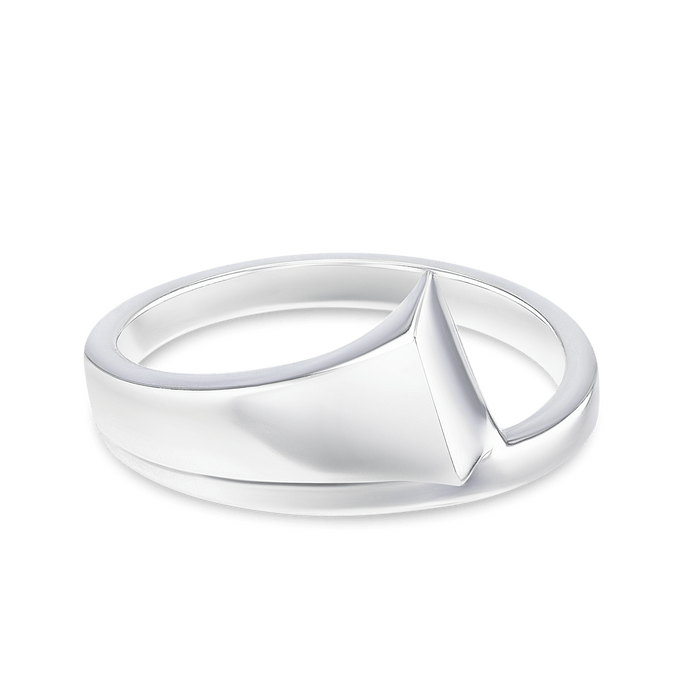 Nailed It Mens Ring Catherine Best