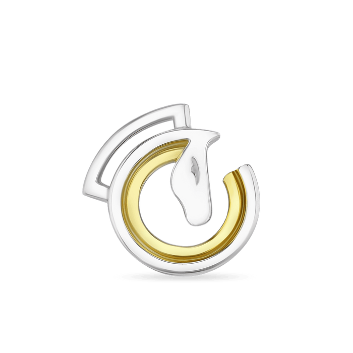 Dressage Circle Brooch Catherine Best