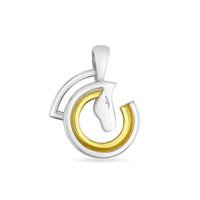 Dressage Circle Pendant Catherine Best Pendant