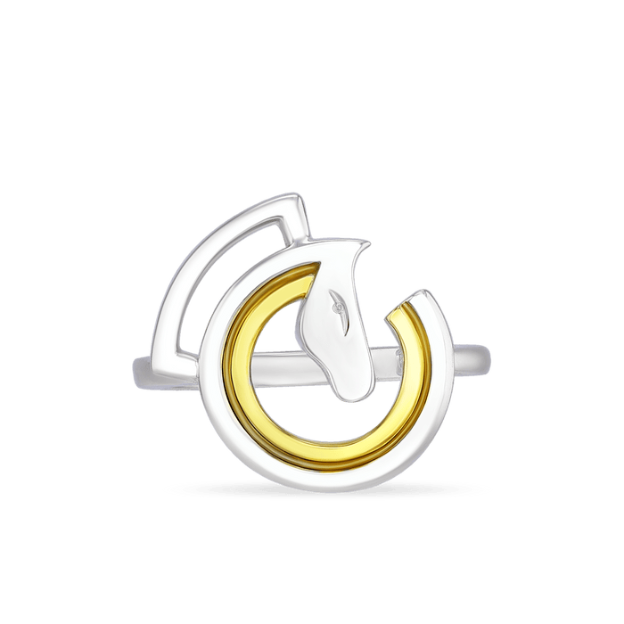 Dressage Circle Ring Catherine Best