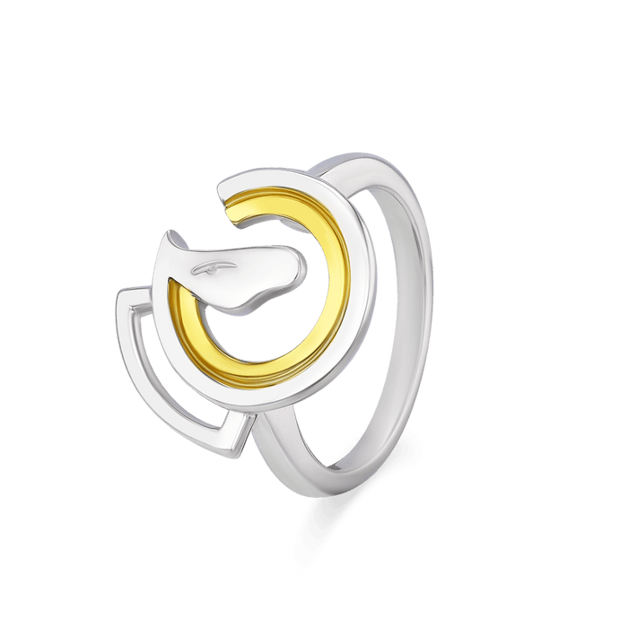 Dressage Circle Ring Catherine Best