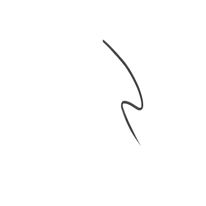 Quick ‘N Easy Precision Liquid Liner