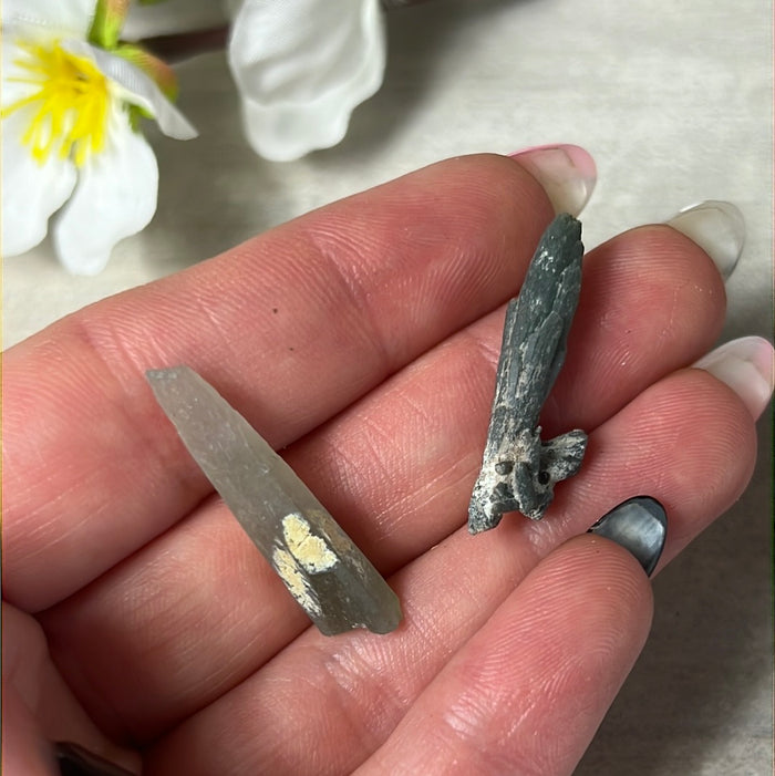 Seriphos Mini Specimen