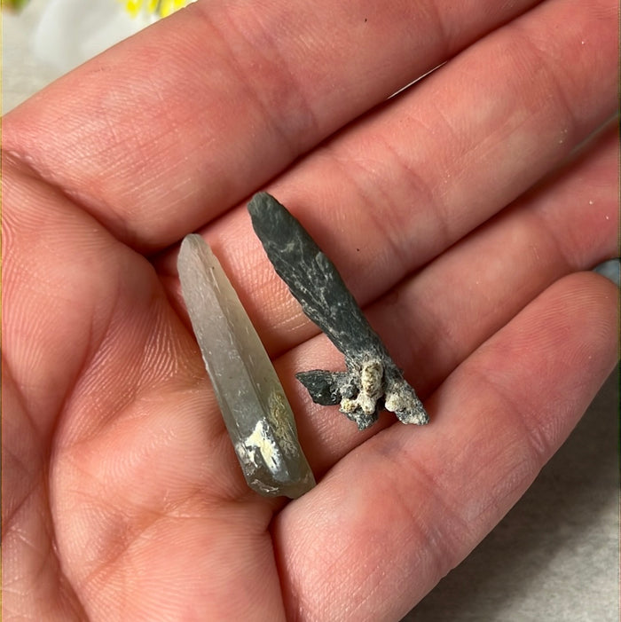 Seriphos Mini Specimen