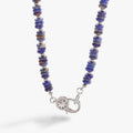 Shiny Silver