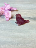 Strawberry Bird / Robin